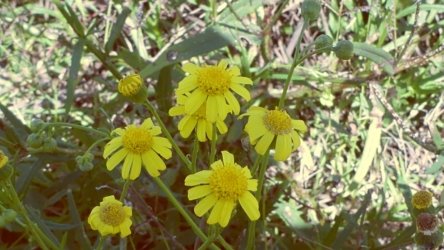 Lake Clarendon 059 P1010016 scaled Lake Clarendon 059 P1010016 scaled