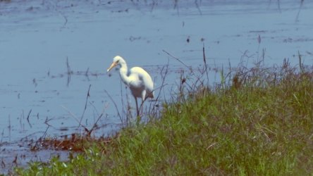 Lake Clarendon 062 P1010020 scaled Lake Clarendon 062 P1010020 scaled