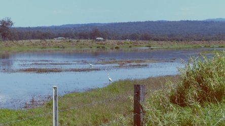 Lake Clarendon 064 P1010022 scaled Lake Clarendon 064 P1010022 scaled