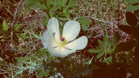 Lake Clarendon 067 P1010025 scaled Lake Clarendon 067 P1010025 scaled