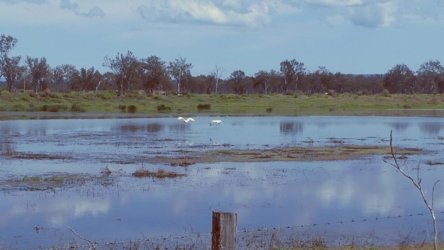 Lake Clarendon 069 P1010027 scaled Lake Clarendon 069 P1010027 scaled