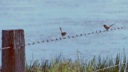 Lake Clarendon 080 P1010039 scaled Lake Clarendon 080 P1010039 scaled