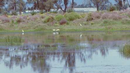 Lake Clarendon 083 P1010042 scaled Lake Clarendon 083 P1010042 scaled