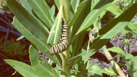 Lake Clarendon 089 P1010049 scaled Lake Clarendon 089 P1010049 scaled