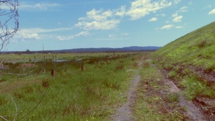 Lake Clarendon 095 P1010055 scaled Lake Clarendon 095 P1010055 scaled