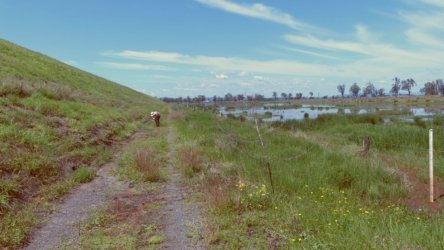 Lake Clarendon 097 P1010057 scaled Lake Clarendon 097 P1010057 scaled