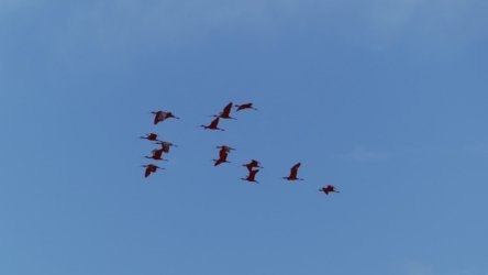Lake Clarendon 099 P1010059 scaled Lake Clarendon 099 P1010059 scaled