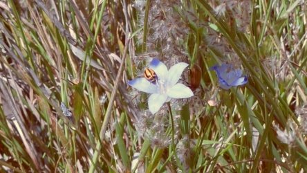 Lake Clarendon 109 P1010069 scaled Lake Clarendon 109 P1010069 scaled