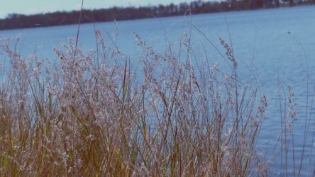 Lake Clarendon 120 P1010081 scaled Lake Clarendon 120 P1010081 scaled