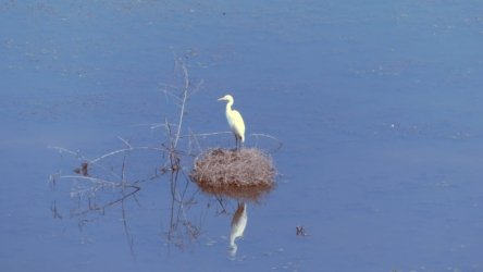 Lake Clarendon 133 P1010099 scaled Lake Clarendon 133 P1010099 scaled