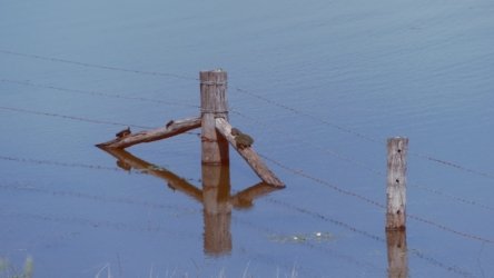 Lake Clarendon 134 P1010100 scaled Lake Clarendon 134 P1010100 scaled