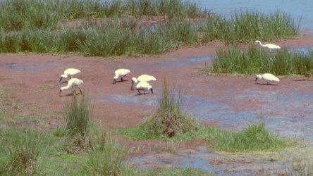 Lake Clarendon 140 P1010106 scaled Lake Clarendon 140 P1010106 scaled