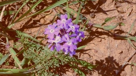 Lake Clarendon 143 P1010109 scaled Lake Clarendon 143 P1010109 scaled