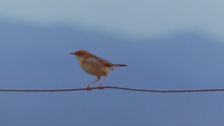 Lake Clarendon 147 P1010113 scaled Lake Clarendon 147 P1010113 scaled