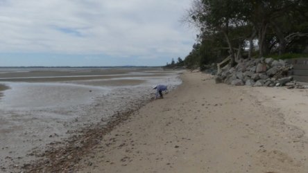 Beachmere 036 P1010765 scaled Beachmere 036 P1010765 scaled