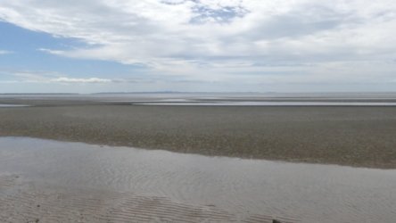 Beachmere 037 P1010766 scaled Beachmere 037 P1010766 scaled