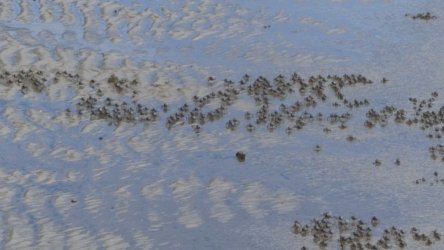 Beachmere 043 P1010772 scaled Beachmere 043 P1010772 scaled