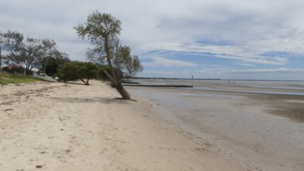 Beachmere 055 P1010784 scaled Beachmere 055 P1010784 scaled