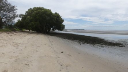 Beachmere 056 P1010785 scaled Beachmere 056 P1010785 scaled