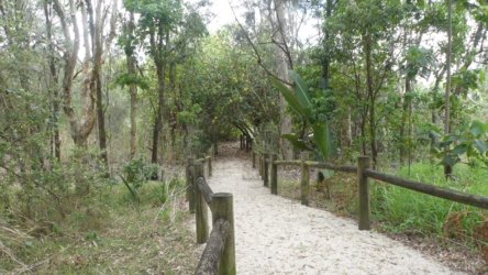 Beachmere 071 P1010800 scaled Beachmere 071 P1010800 scaled