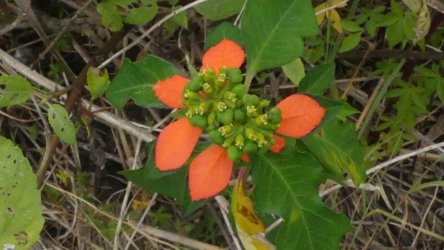 Beachmere 080 P1010809 scaled Beachmere 080 P1010809 scaled