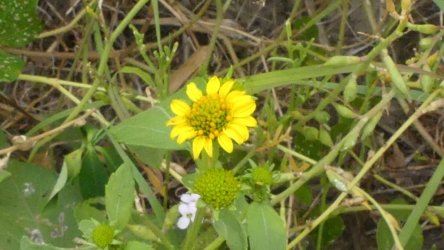 Beachmere 094 P1010823 scaled Beachmere 094 P1010823 scaled