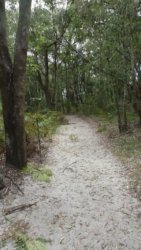 Beachmere 103 P1010832 scaled Beachmere 103 P1010832 scaled