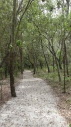 Beachmere 108 P1010837 scaled Beachmere 108 P1010837 scaled