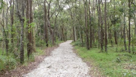 Beachmere 109 P1010838 scaled Beachmere 109 P1010838 scaled