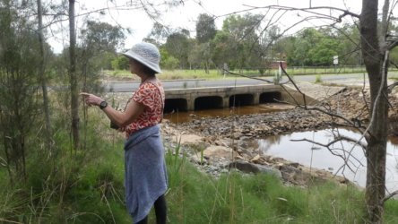 Beachmere 118 P1010847 scaled Beachmere 118 P1010847 scaled