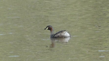 Hardings1222 008 P1010856 Copy scaled Hardings1222 008 P1010856 Copy scaled