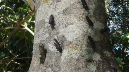 Hardings1222 014 P1010862 Copy scaled Hardings1222 014 P1010862 Copy scaled