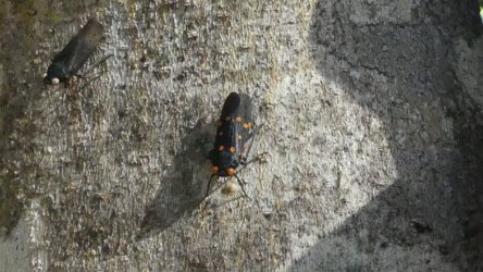 Hardings1222 016 P1010864 scaled Hardings1222 016 P1010864 scaled