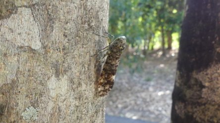 Hardings1222 020 P1010871 scaled Hardings1222 020 P1010871 scaled