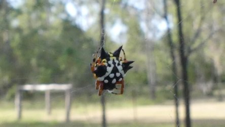 Hardings1222 026 P1010881 scaled Hardings1222 026 P1010881 scaled