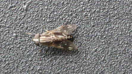 Hardings1222 049 P1010914 scaled Hardings1222 049 P1010914 scaled