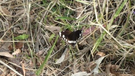 Hardings1222 052 P1010917 scaled Hardings1222 052 P1010917 scaled