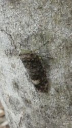 Hardings1222 058 P1010927 scaled Hardings1222 058 P1010927 scaled