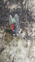 Hardings1222 061 P1010930 scaled Hardings1222 061 P1010930 scaled