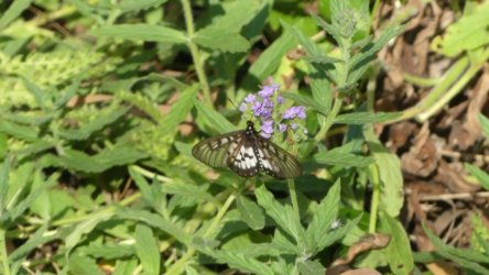 Hardings1222 073 P1010942 scaled Hardings1222 073 P1010942 scaled