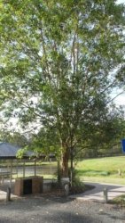 Hardings1222 079 P1010949 scaled Hardings1222 079 P1010949 scaled