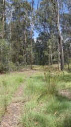 Hardings1222 094 P1010966 scaled Hardings1222 094 P1010966 scaled