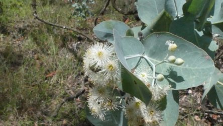 Hardings1222 096 P1010968 scaled Hardings1222 096 P1010968 scaled