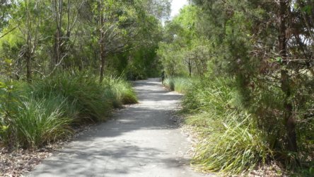 Bibimulya Wetlands Bribie Island 002 P1020162 scaled Bibimulya Wetlands Bribie Island 002 P1020162 scaled