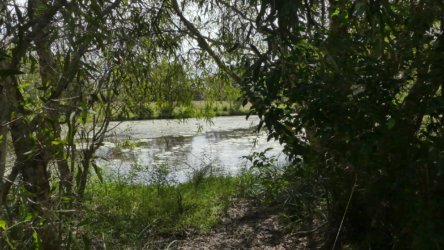 Bibimulya Wetlands Bribie Island 006 P1020166 scaled Bibimulya Wetlands Bribie Island 006 P1020166 scaled