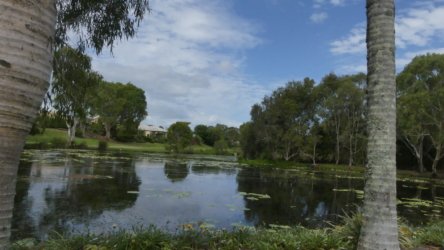 Bibimulya Wetlands Bribie Island 056 P1020216 scaled Bibimulya Wetlands Bribie Island 056 P1020216 scaled