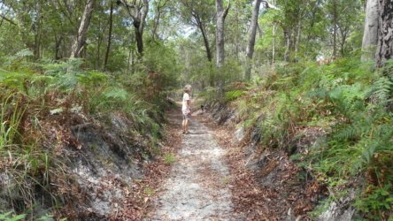 Bribie Bush and Beach Walk 004 P1020038 scaled Bribie Bush and Beach Walk 004 P1020038 scaled