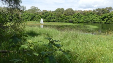 Bribie Bush and Beach Walk 026 P1020060 scaled Bribie Bush and Beach Walk 026 P1020060 scaled