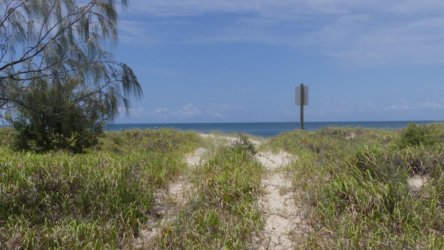 Bribie Bush and Beach Walk 049 P1020083 scaled Bribie Bush and Beach Walk 049 P1020083 scaled