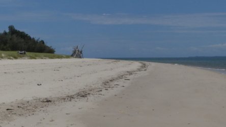 Bribie Bush and Beach Walk 057 P1020095 scaled Bribie Bush and Beach Walk 057 P1020095 scaled